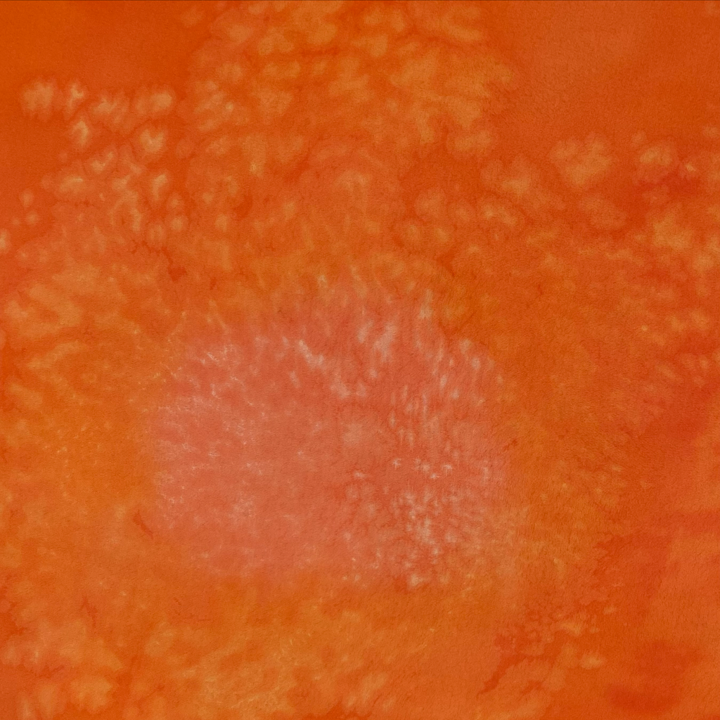 Power Song Tribe™ SWAG | Hot Tangerine Sarong | Image B