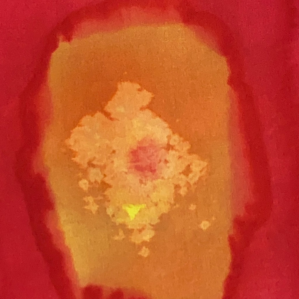 Power Song Tribe™ SWAG | Rose Gold #1 Scarf | Image B