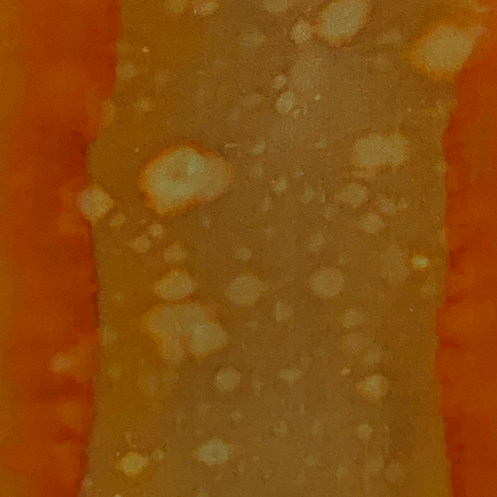 Power Song Tribe™ SWAG | Sand Bubbles #2 Scarf | Image B